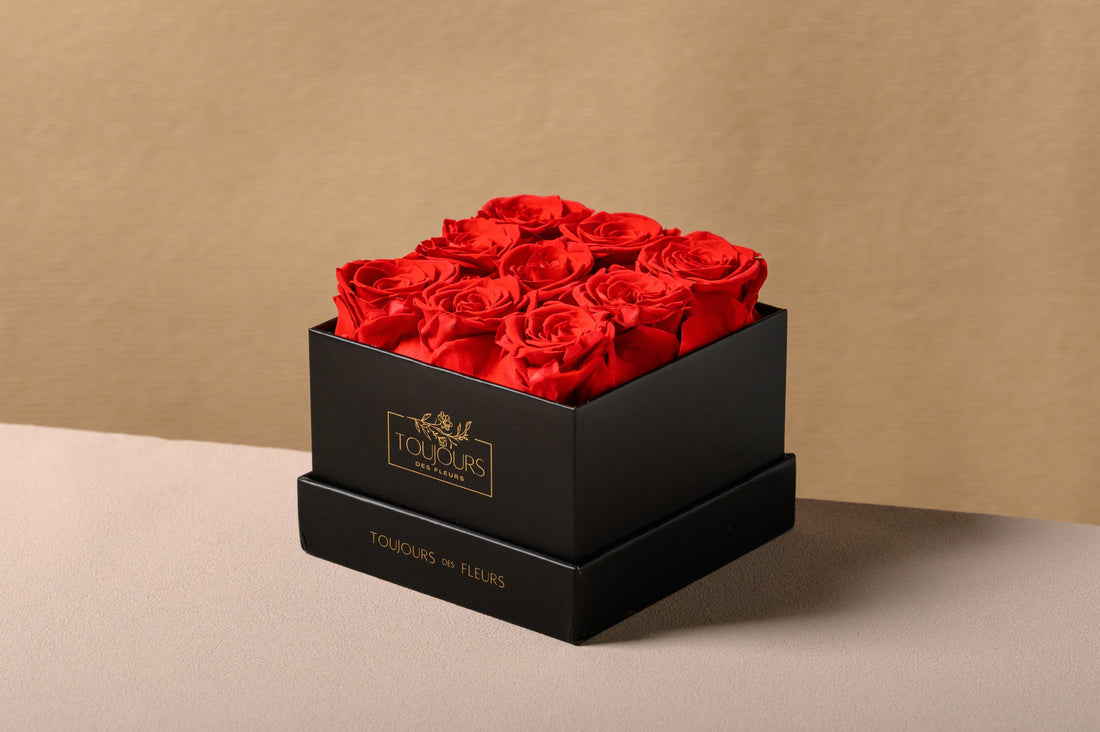 Dried Flowers vs. Preserved Flowers: Which is Right for You?