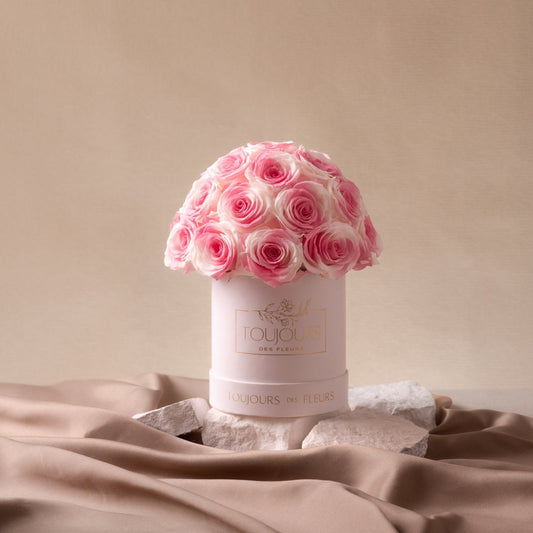 Flower Dome | 24 Milky Pink Roses Ready Stock Toujours Flowers