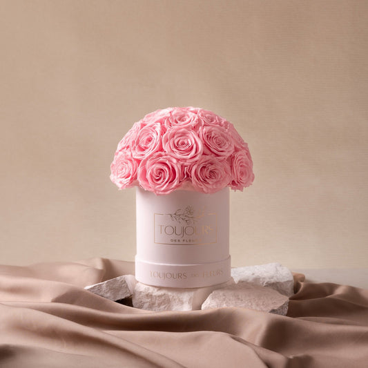 Flower Dome | 24 Pink Roses Ready Stock Toujours Flowers