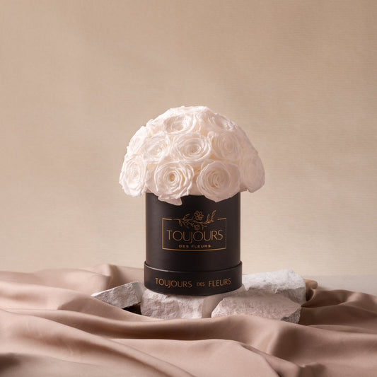 Flower Dome | 24 White Roses Ready Stock Toujours Flowers