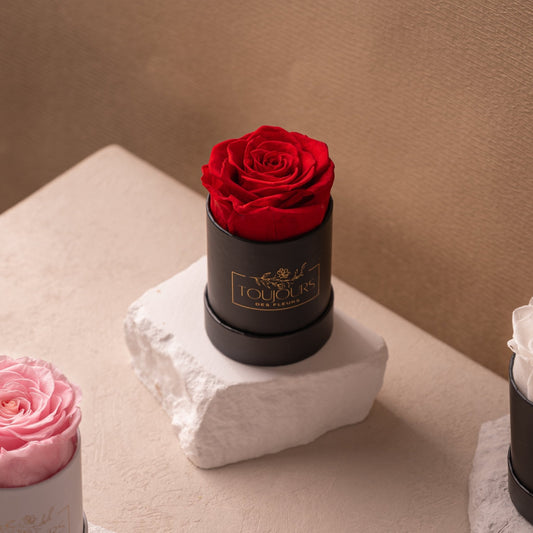 Single preserved red rose in a minimalist box, ikebana-inspired display