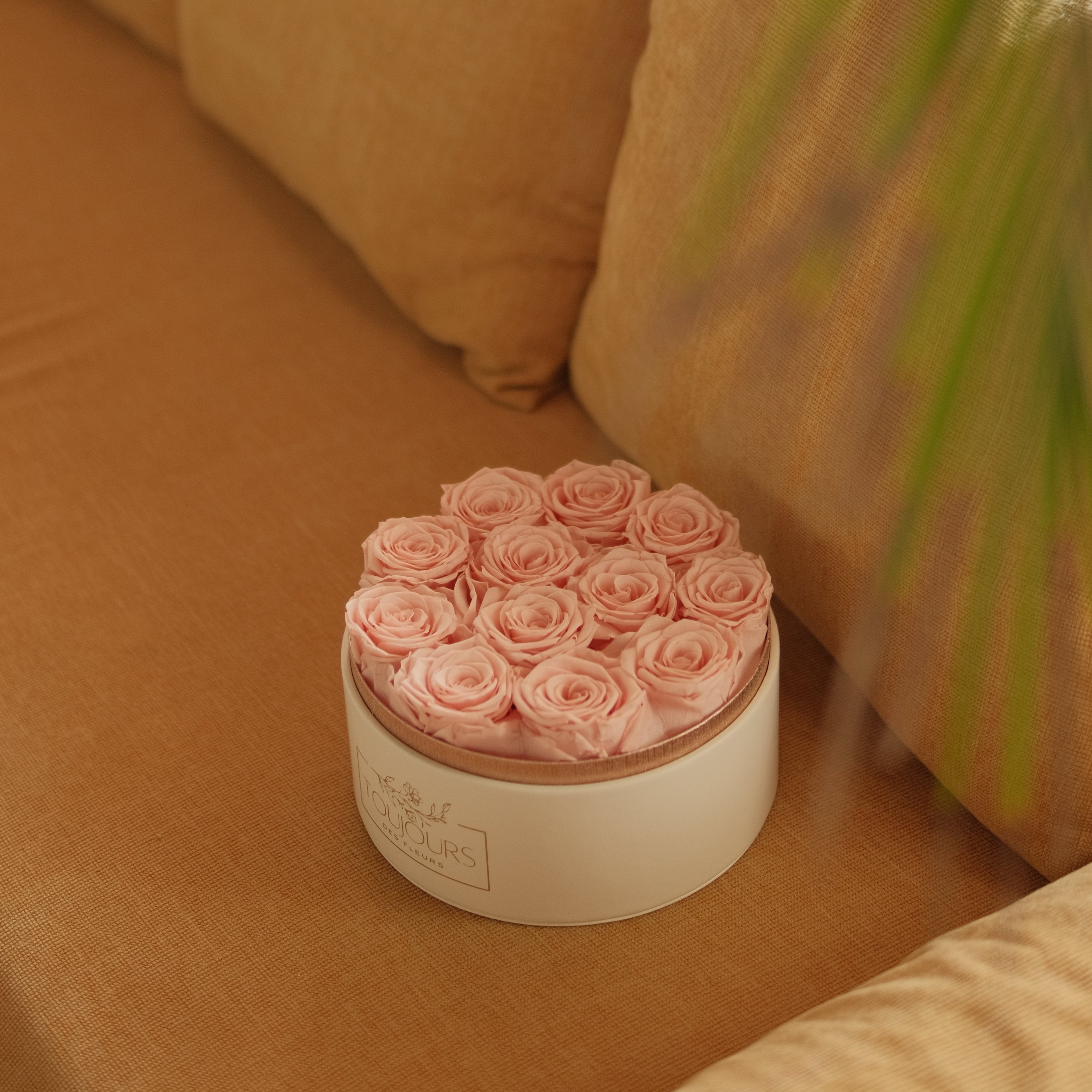 Eternal Roses in Leather Box | RosieRound ~15 Roses