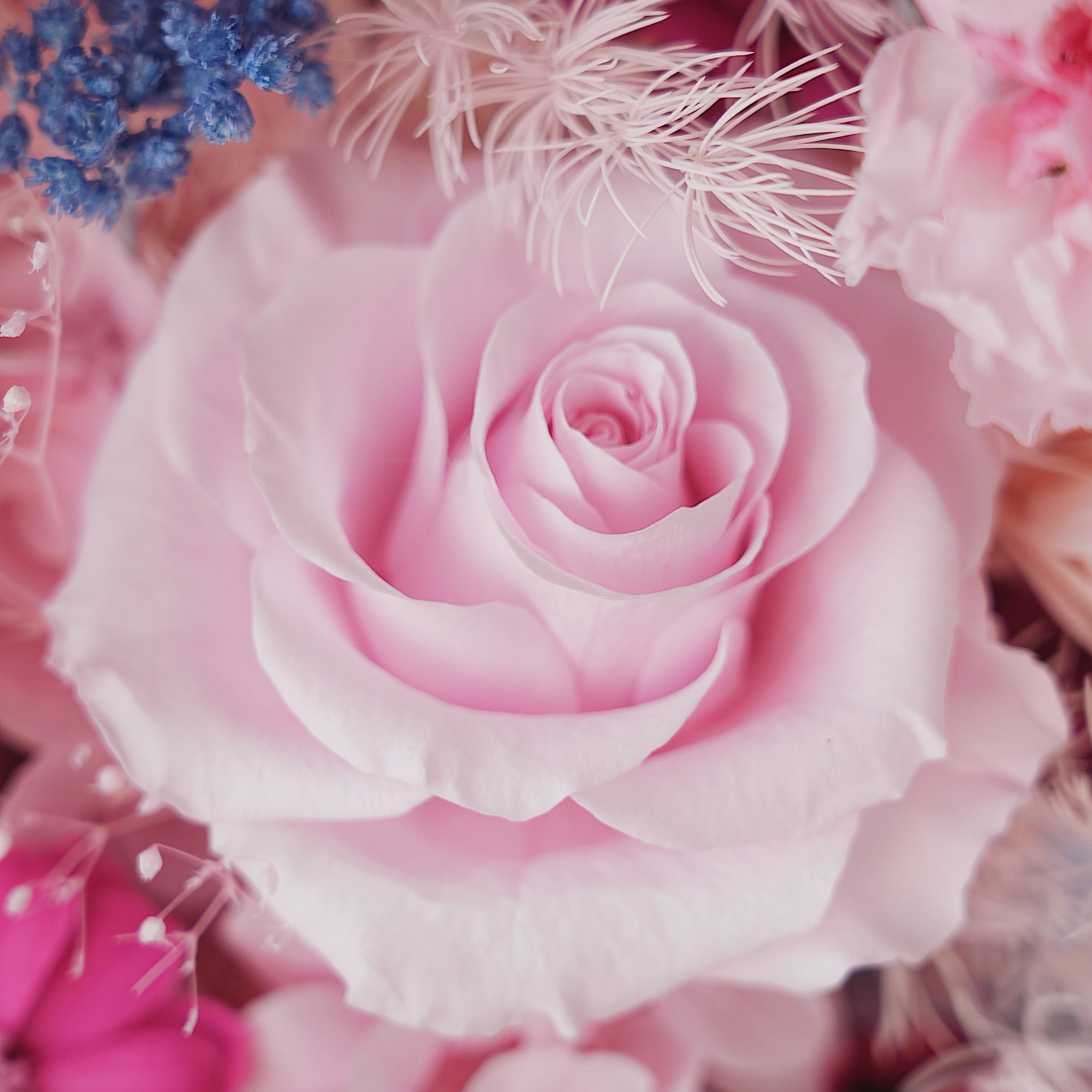 Close-up of a bouquet with pink roses and other flowers.
