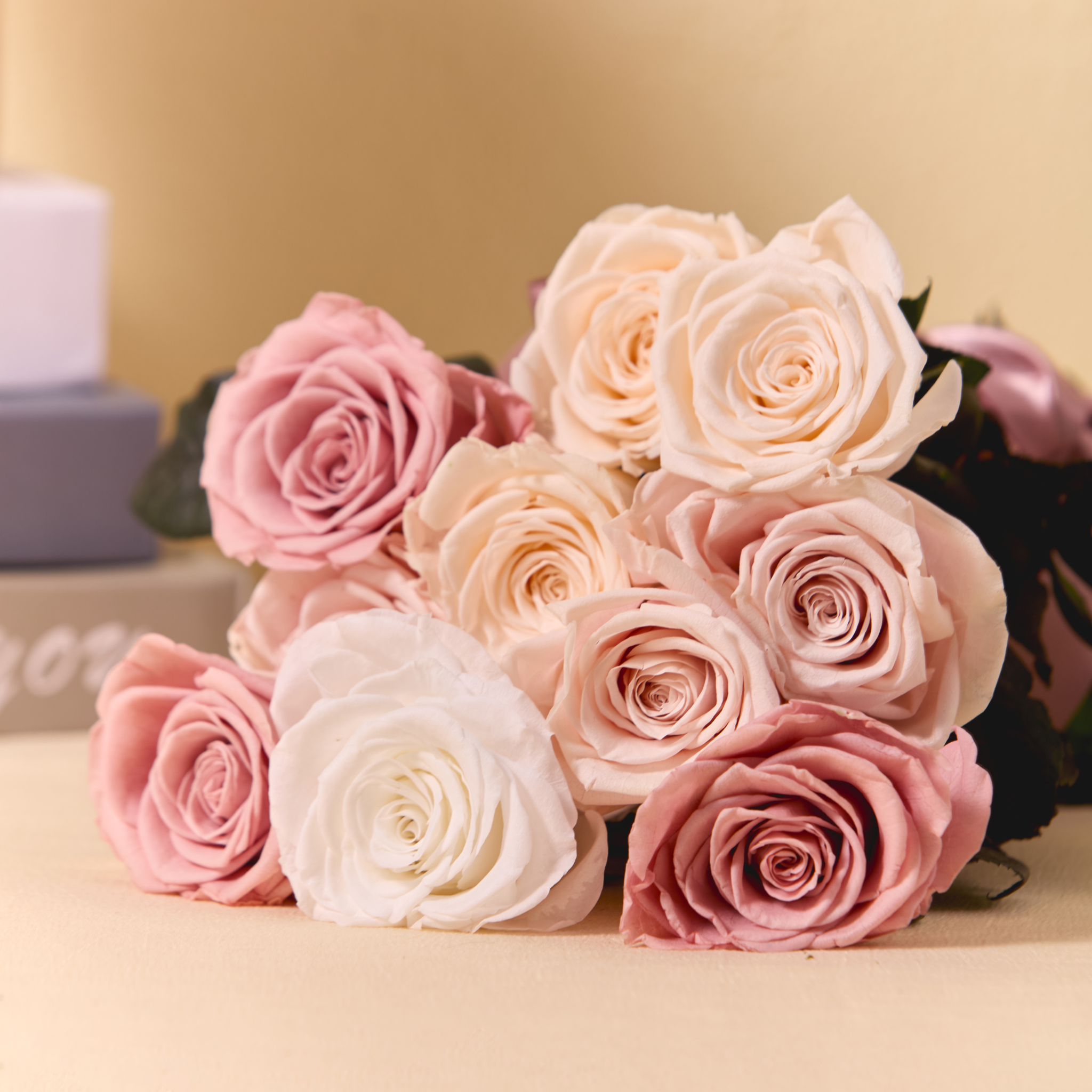 Stem Rose | Single or 8-Pack (Choose Color)