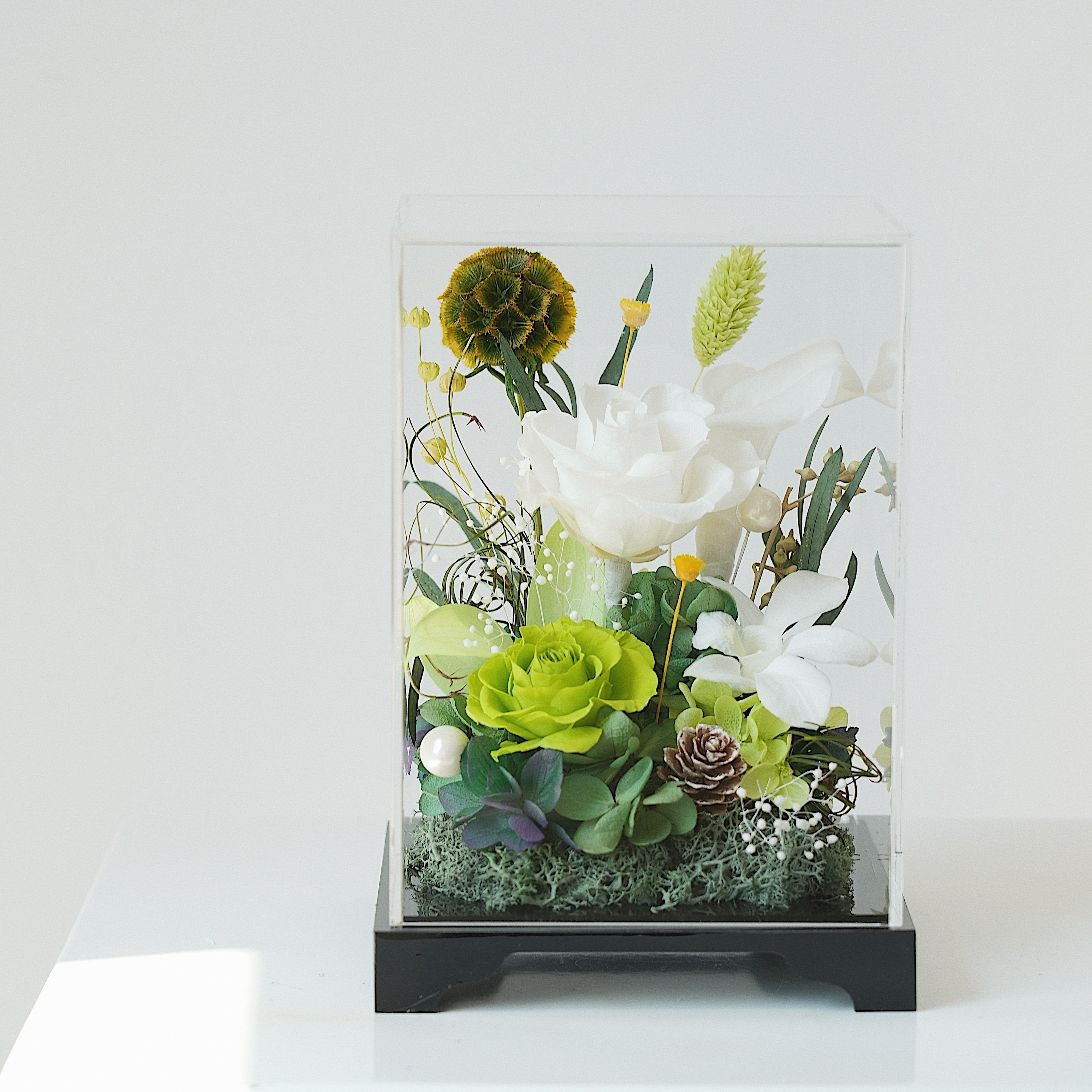 Decorative floral arrangement in a acrylic box on a white background