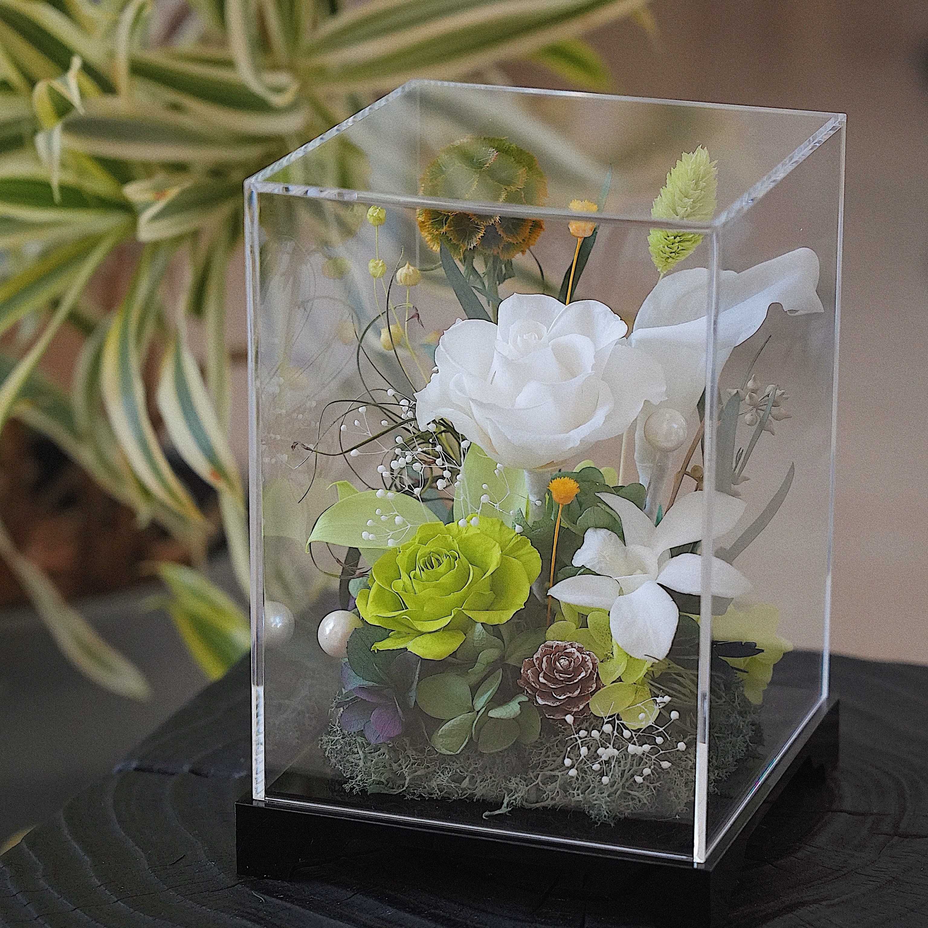 Decorative floral arrangement in a clear glass box on a dark surface with plants in the background.