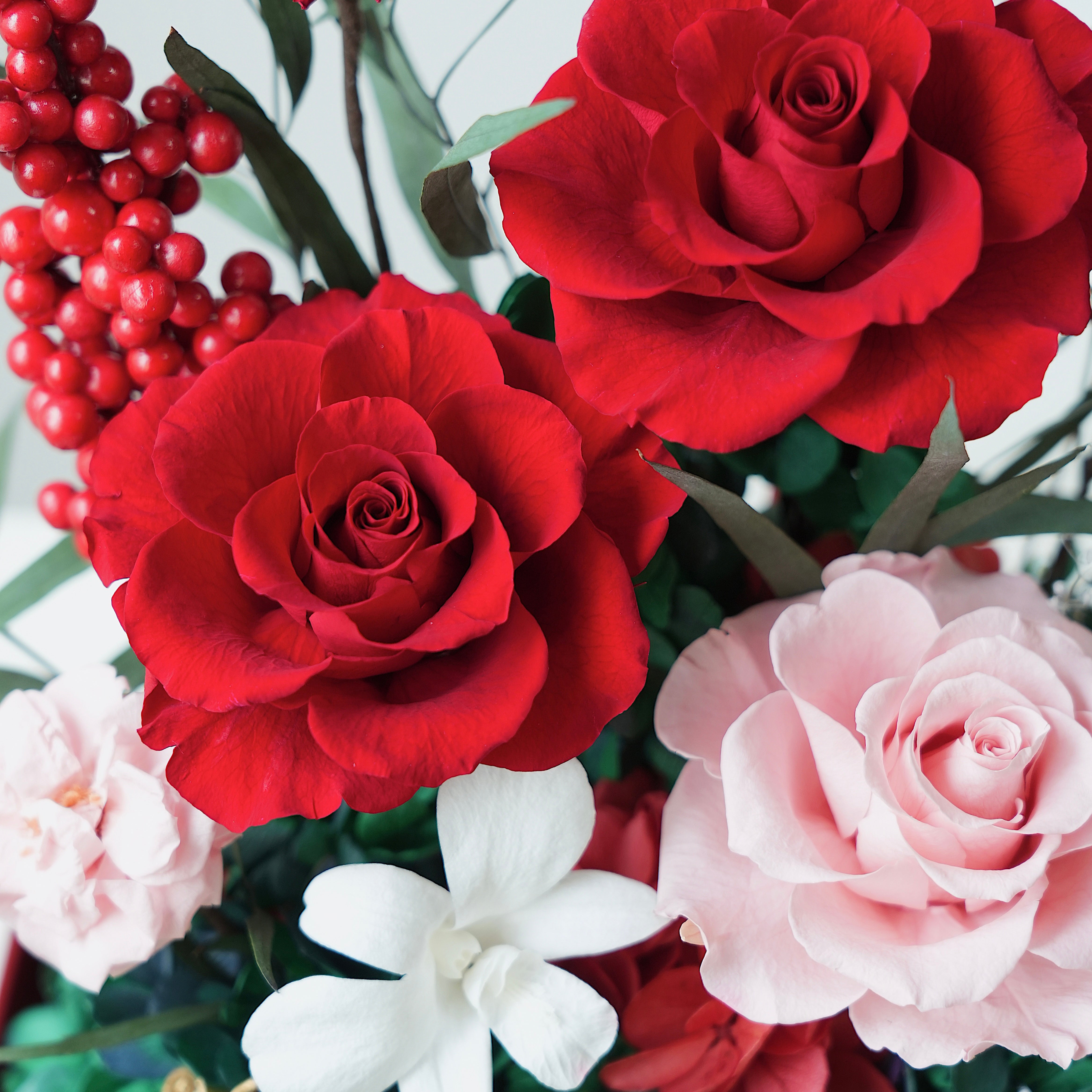 Floral Journeys｜Fortune Begonia (2 sizes)