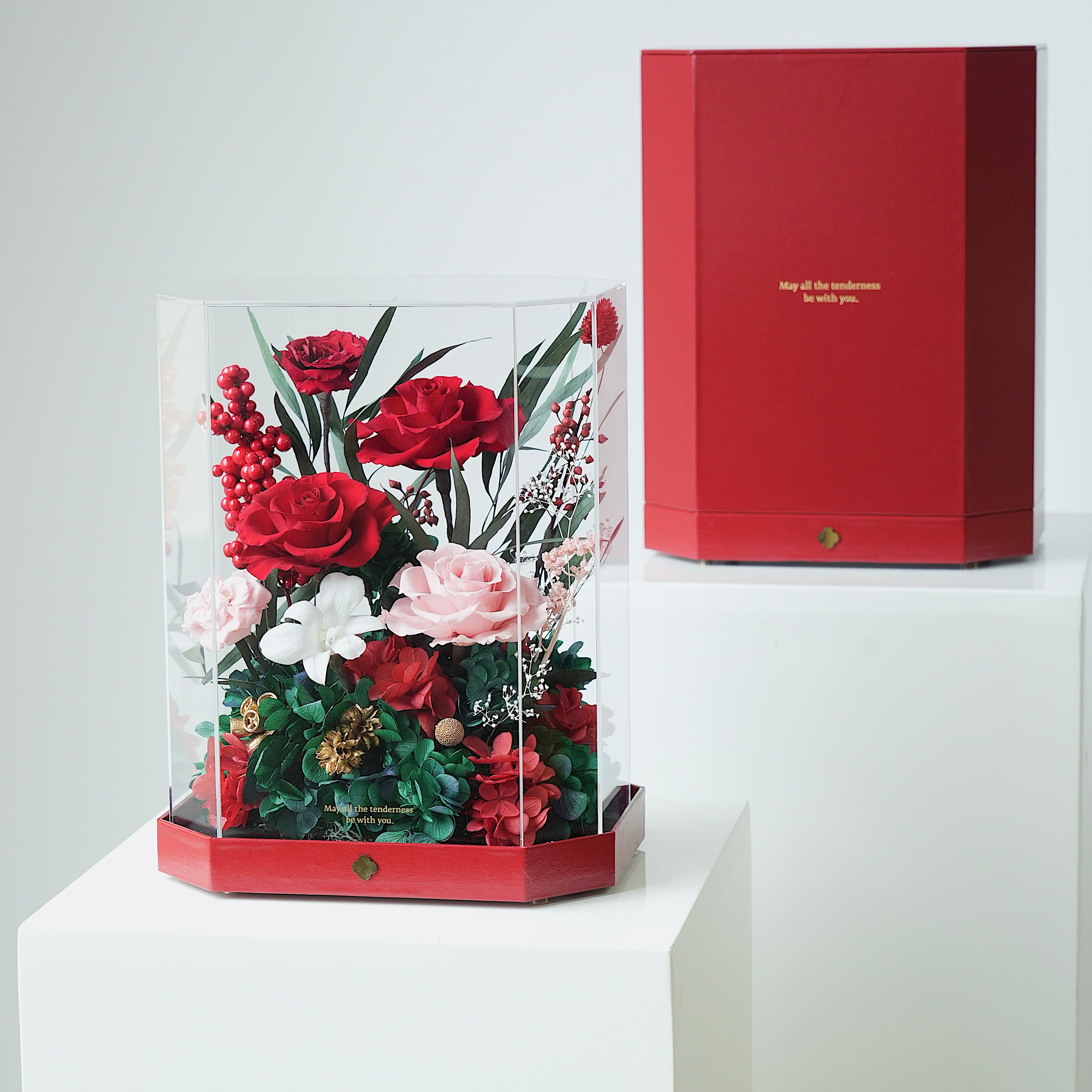 Floral Journeys｜Fortune Begonia (2 sizes)