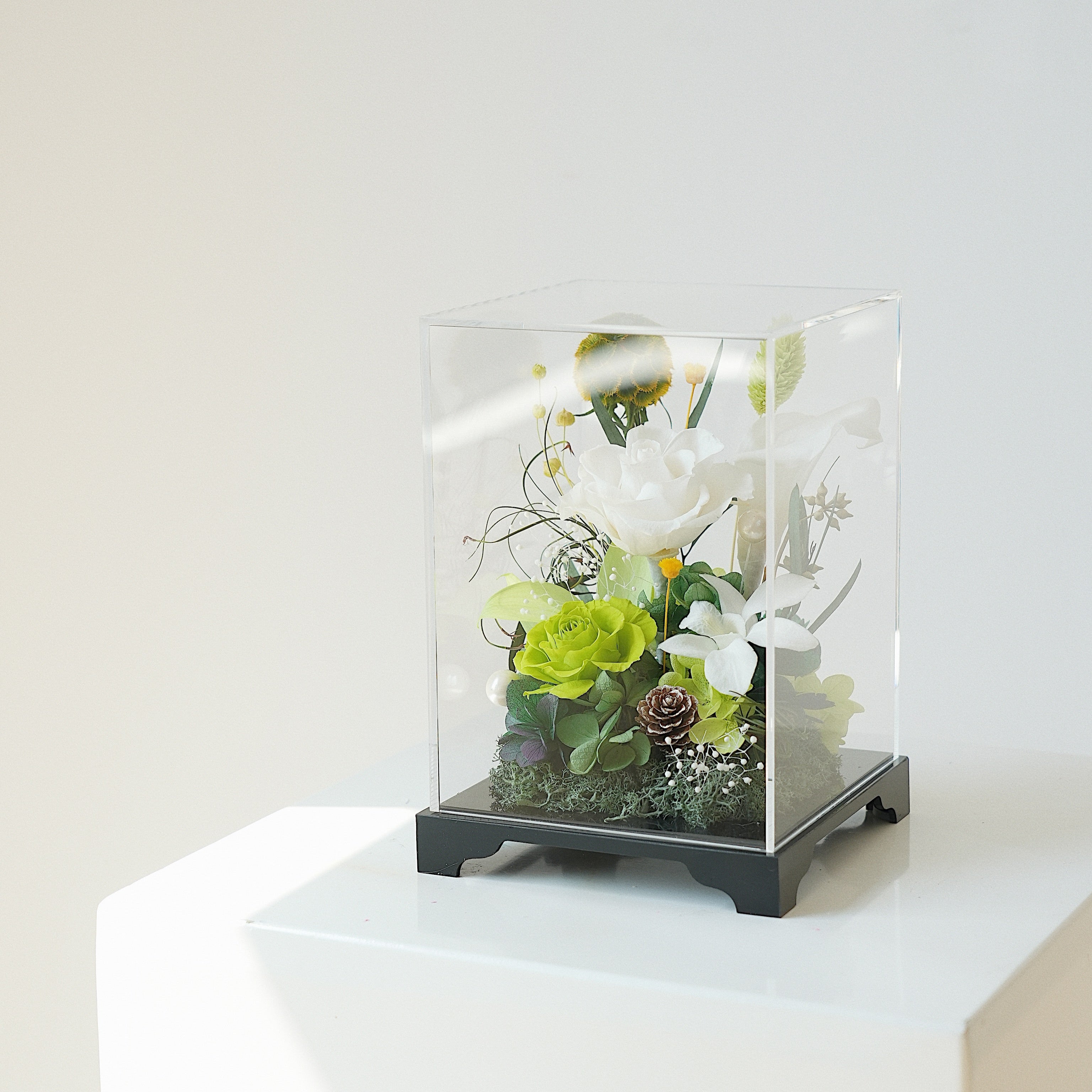 Acrylic box with a floral arrangement on a white surface