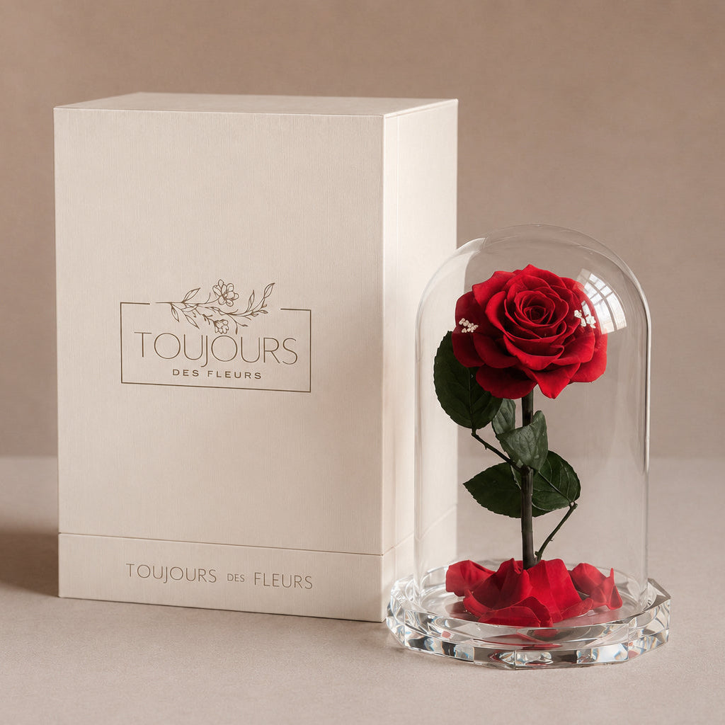 red rose crystal glass dome toujours