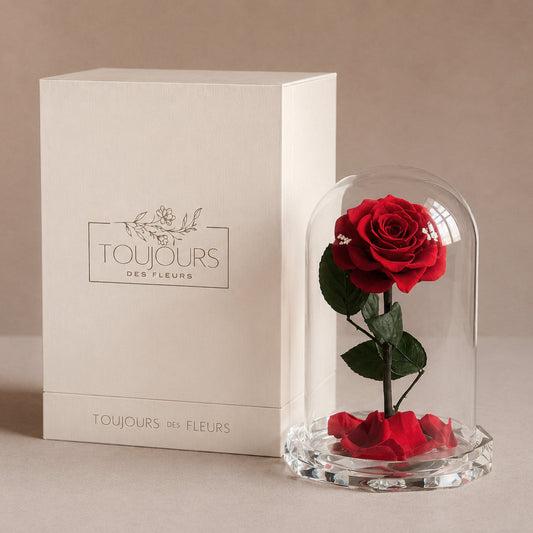 red rose crystal glass dome toujours