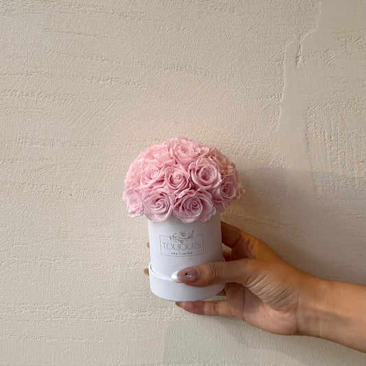 Mini Dome｜23 Petit Eternal Rose