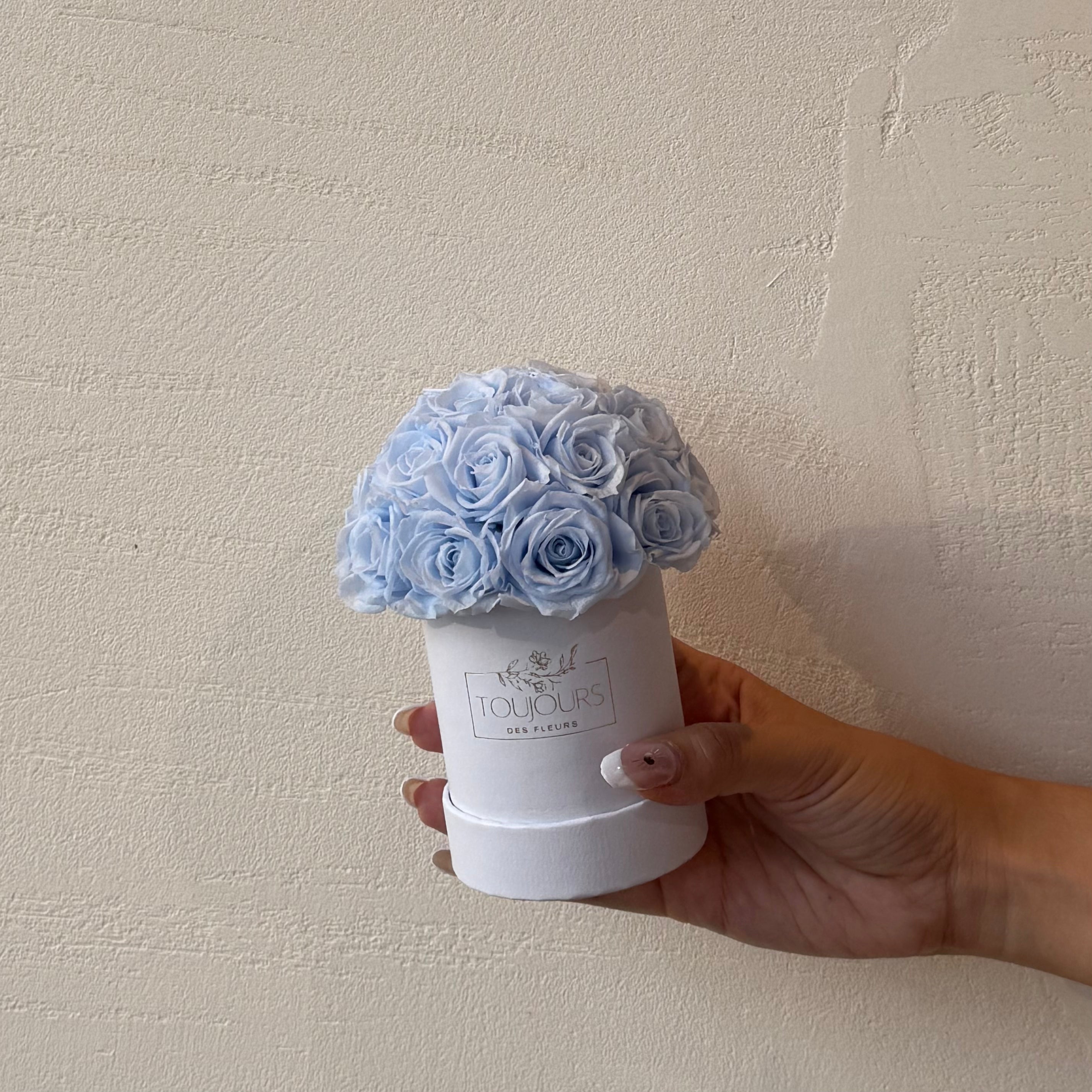 Mini Dome｜23 Petit Eternal Rose