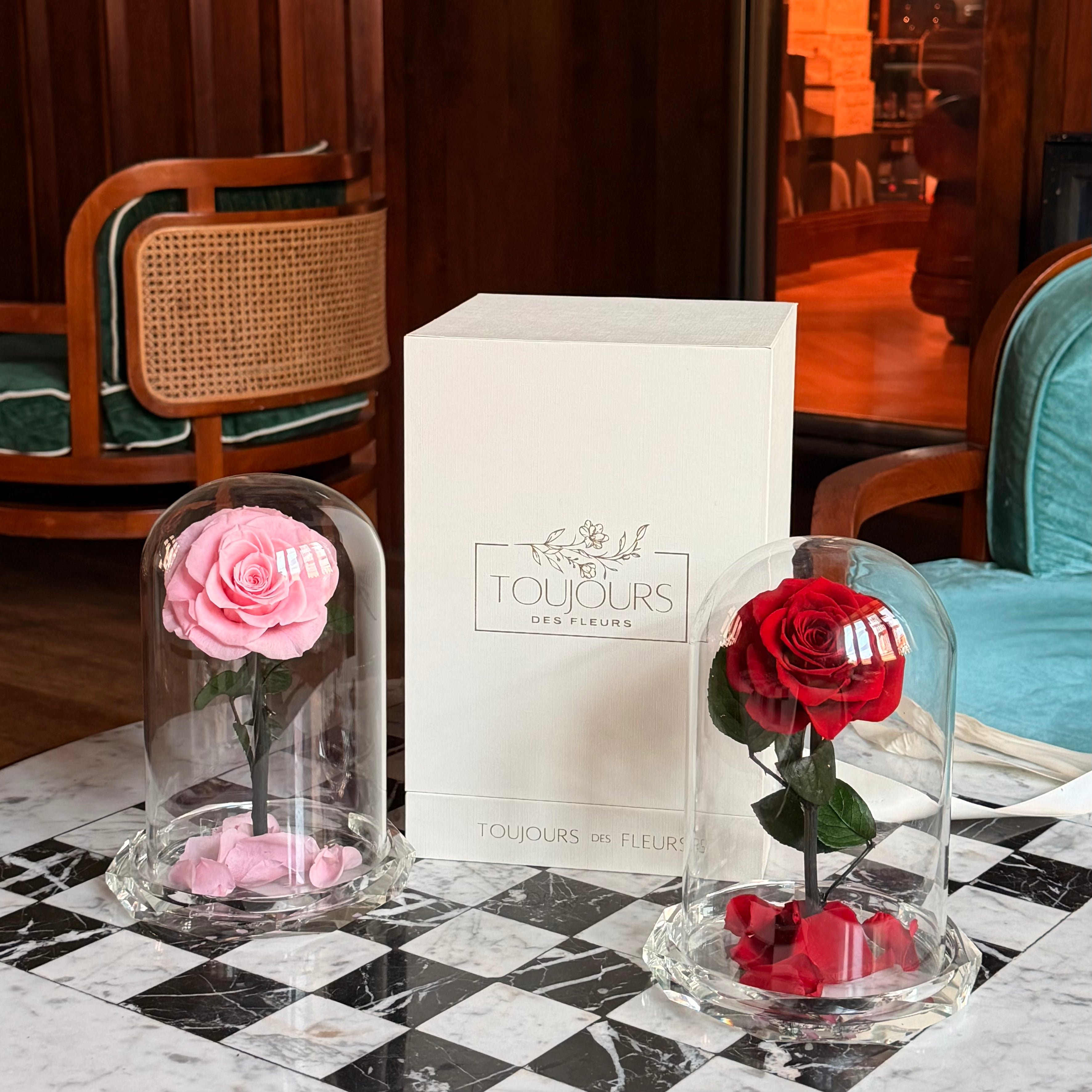 Rose Amour｜Crystal Encased Eternal Rose