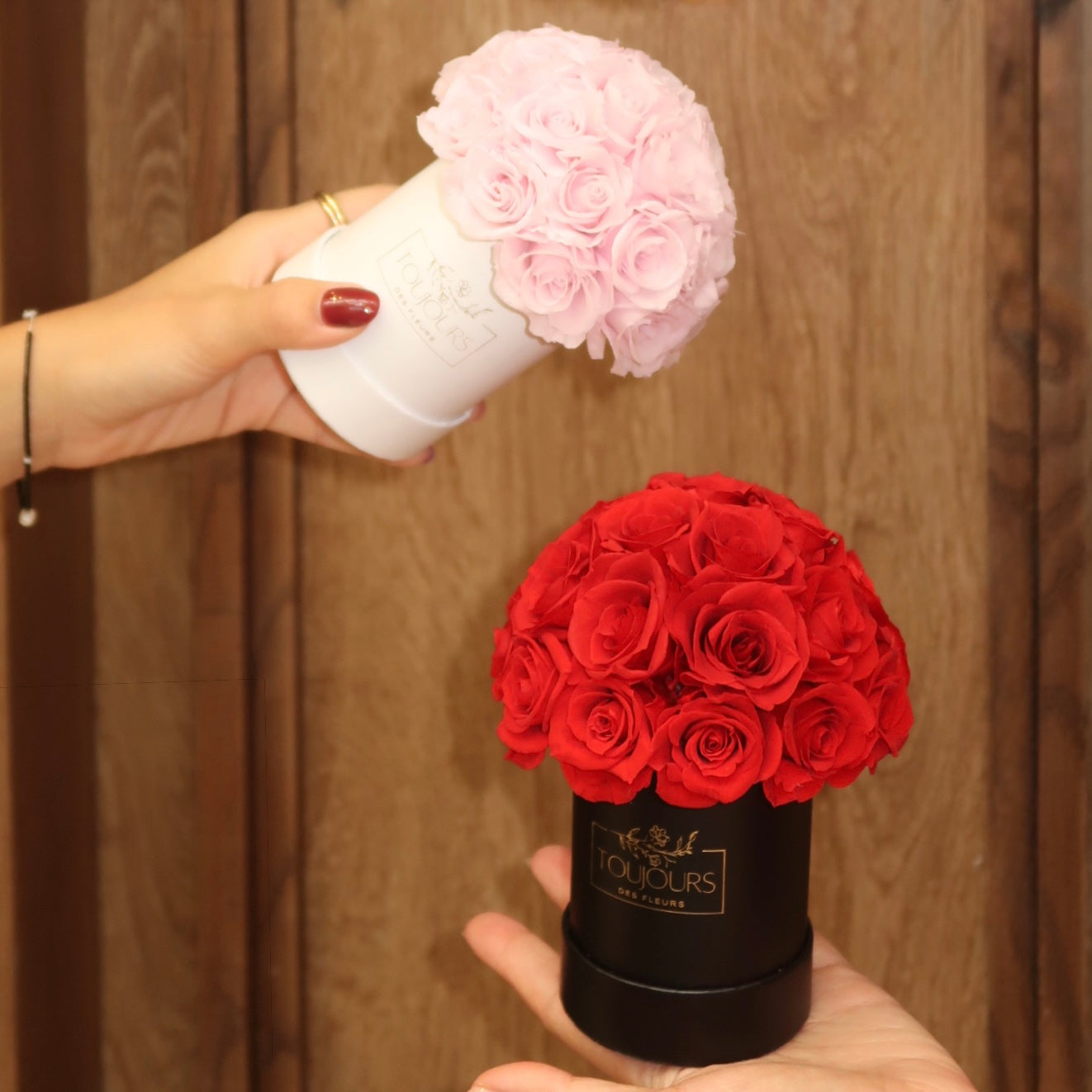 Mini Dome｜23 Petit Eternal Rose