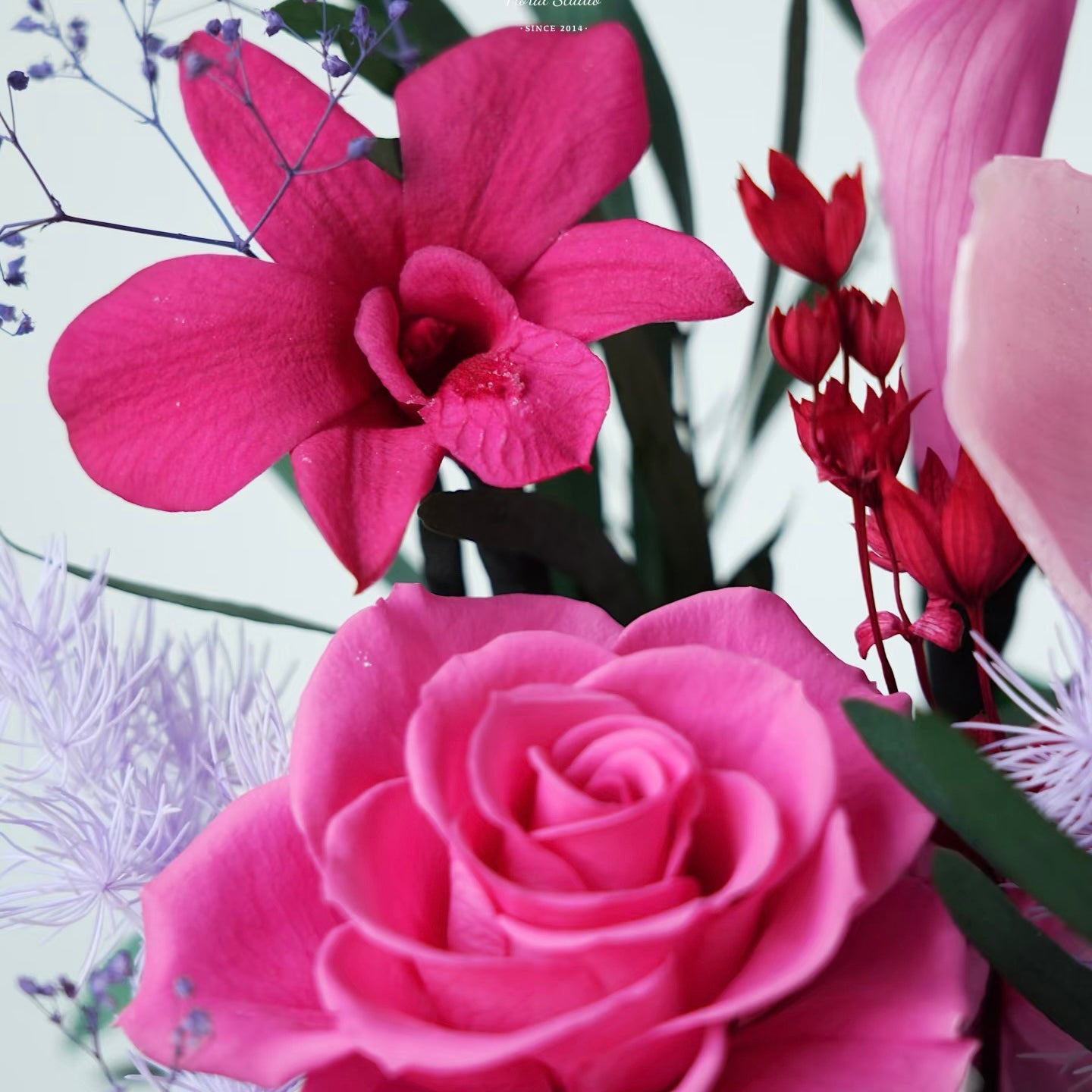 Floral Journeys｜Orchid Luxe (2 sizes)