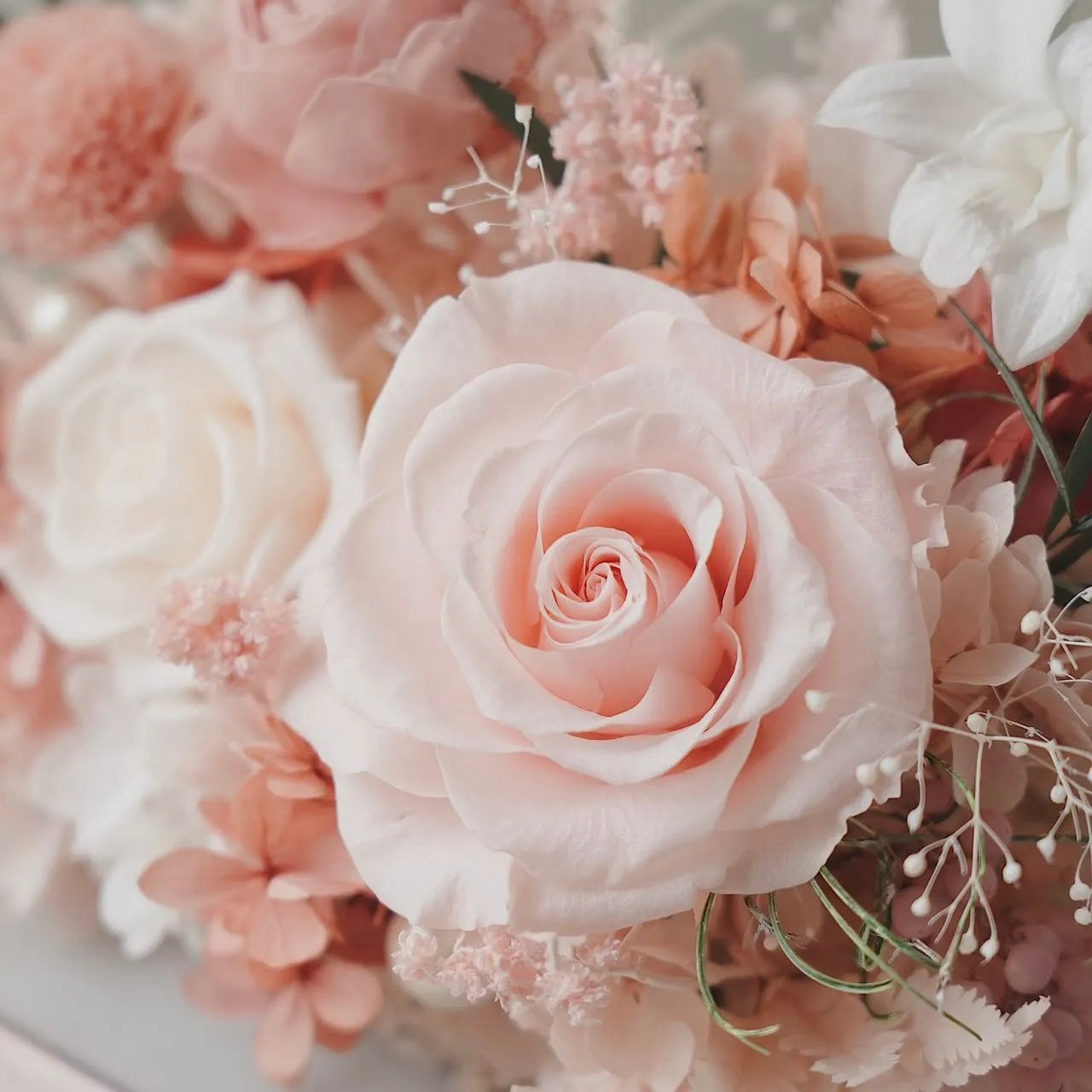 Floral Journeys｜Hibiscus Grace (2 sizes)