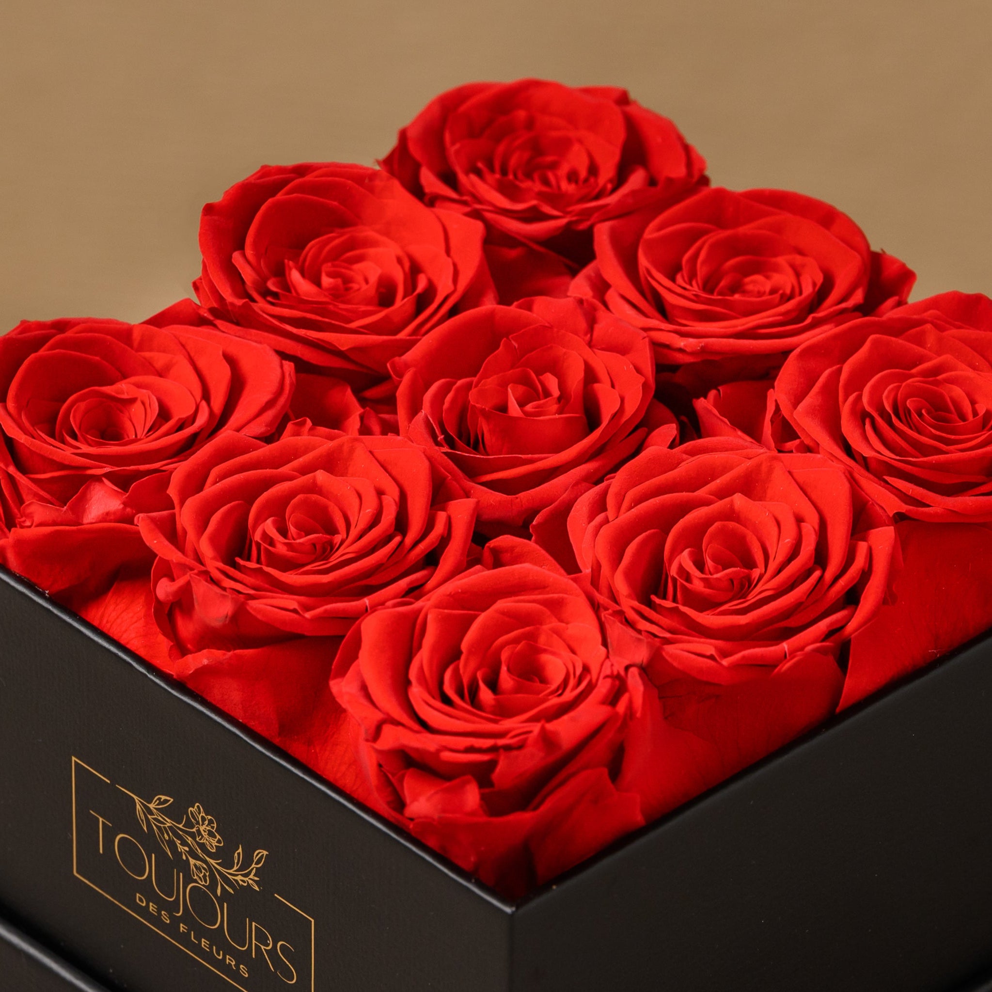Preserved Rose Box | 9 Eternal Roses Toujours Flowers