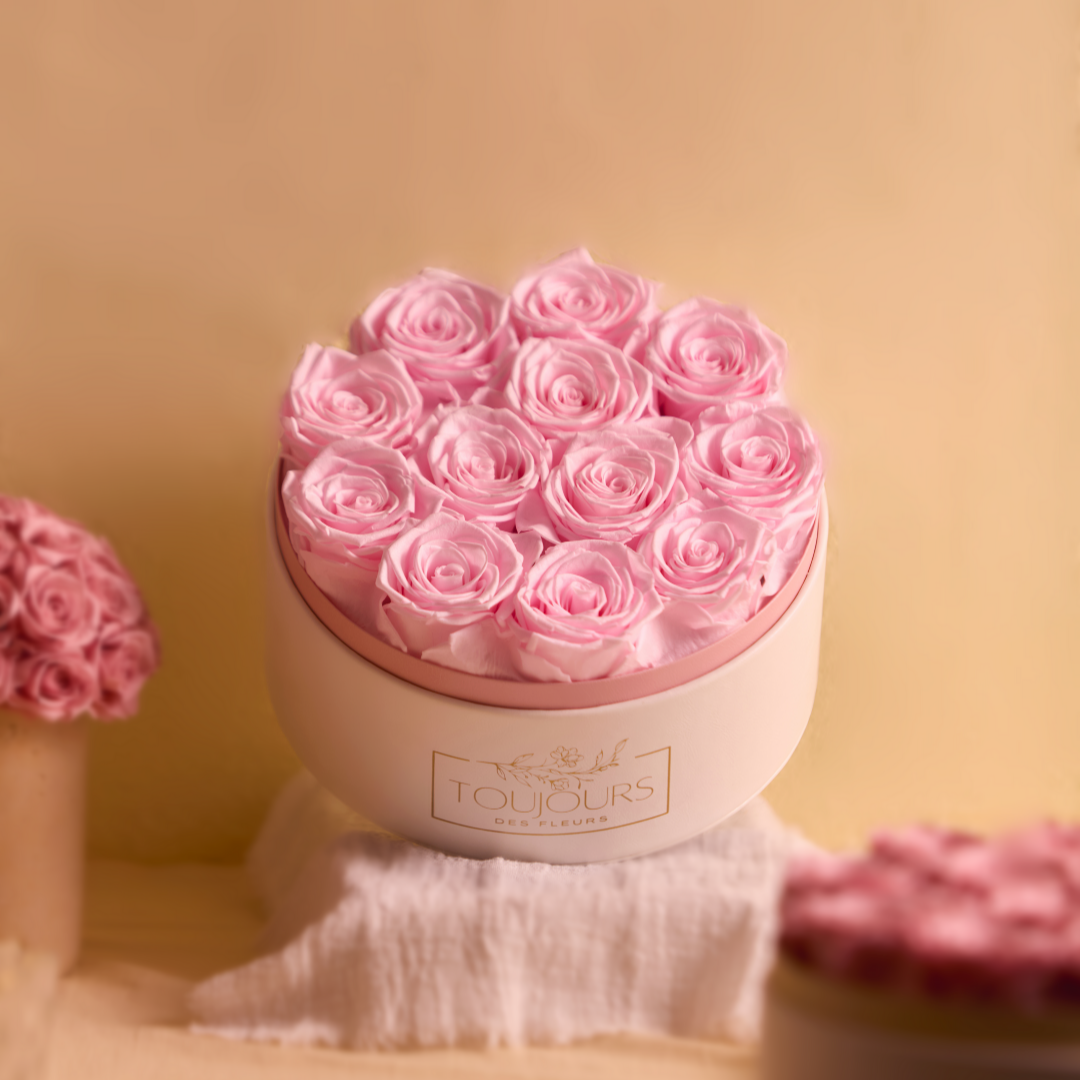 Preserved Rose Box | RosieRound ~15 Eternal Roses Blush Pink Toujours Flowers