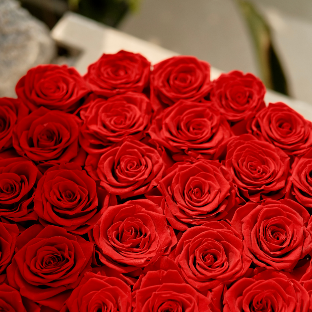 Preserved Rose Box | RosieRound ~36 Eternal Roses Toujours Flowers