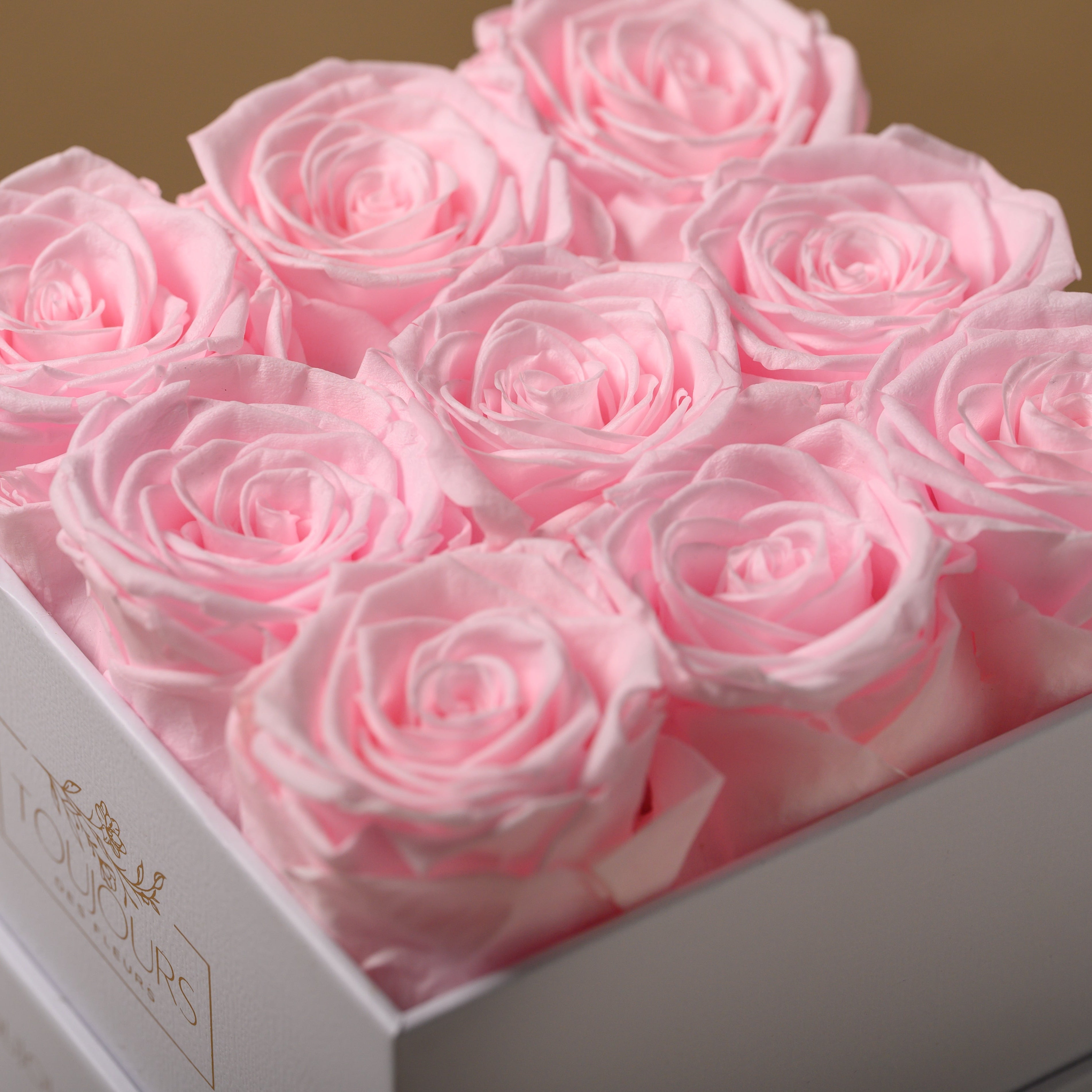 Preserved Rose Box | 9 Eternal Roses Toujours Flowers