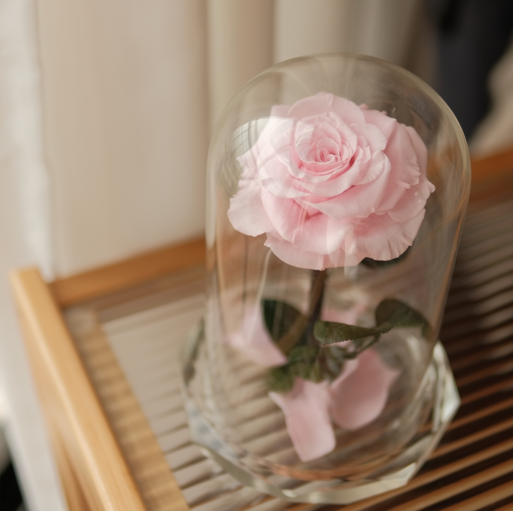 Rose Amour｜Crystal Encased Eternal Rose
