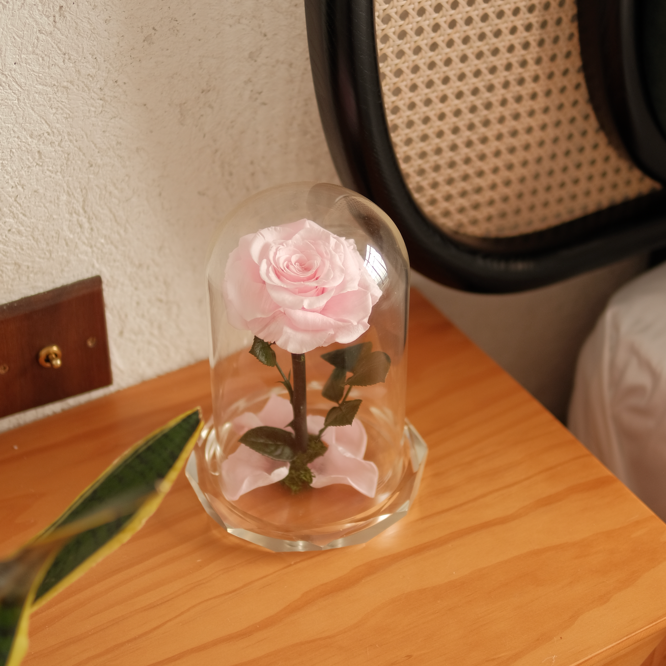 Rose Amour｜Crystal Encased Eternal Rose