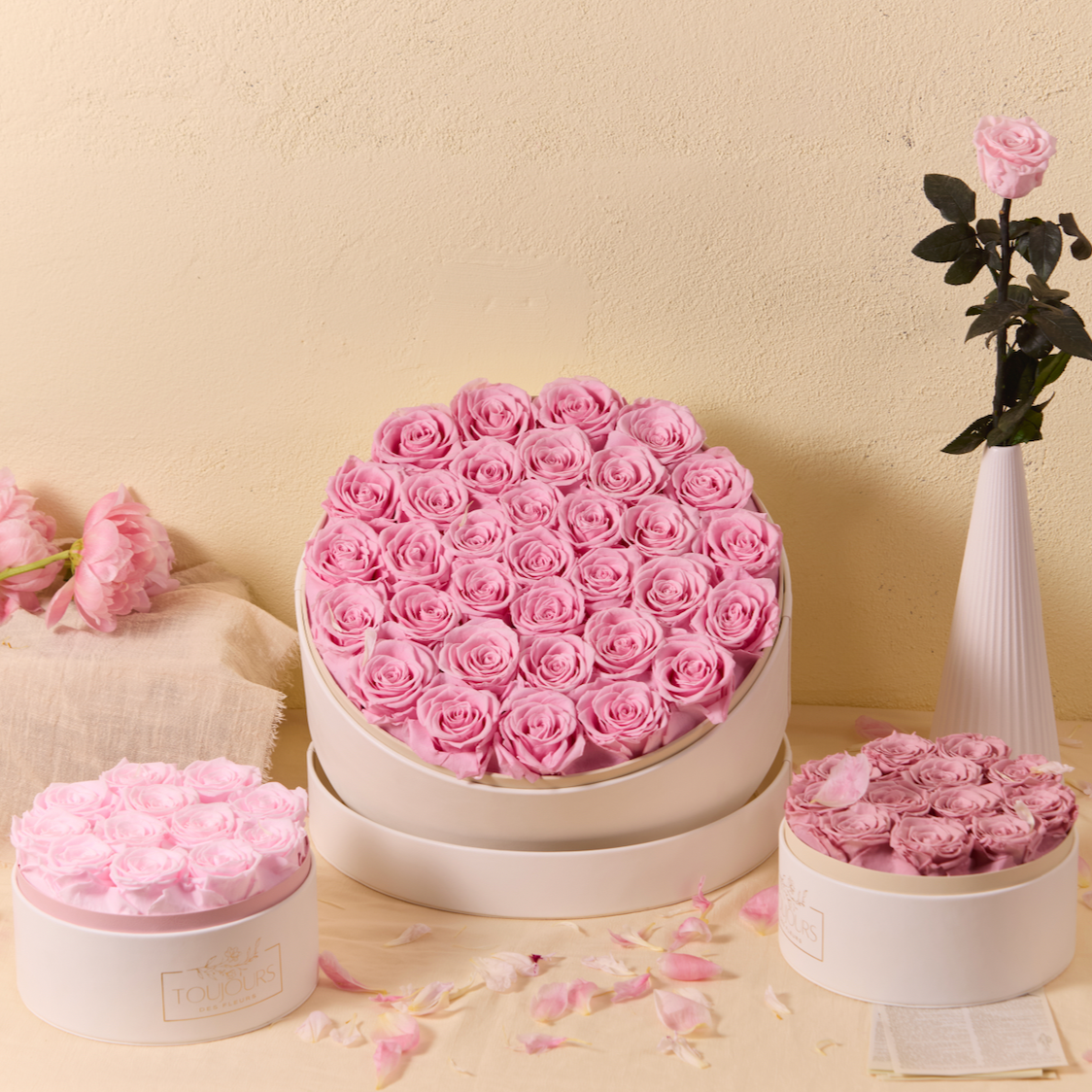 Set of pink roses in white heart-shaped boxes on a beige background