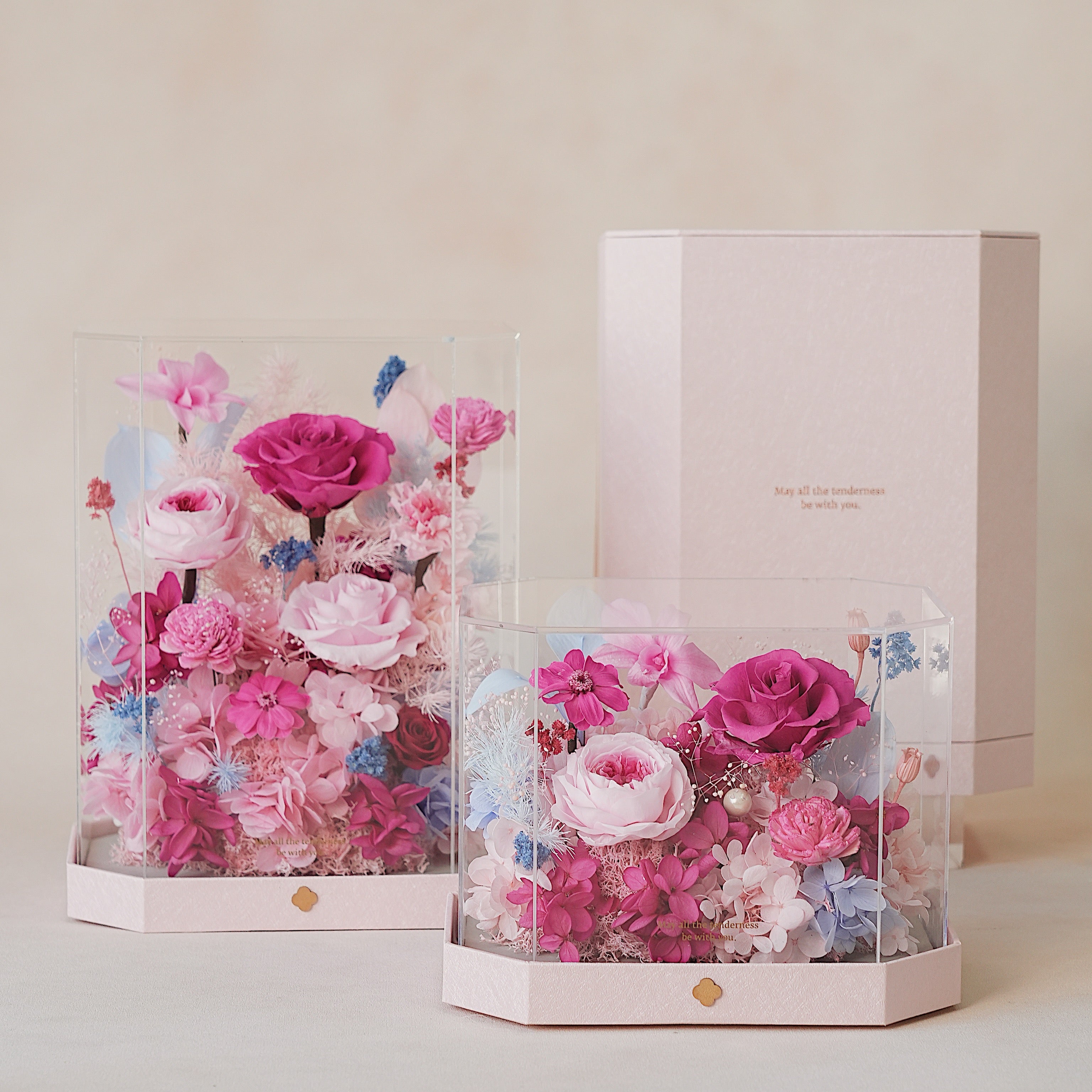 Hexagonal clear boxes with preserved flowers on a light background