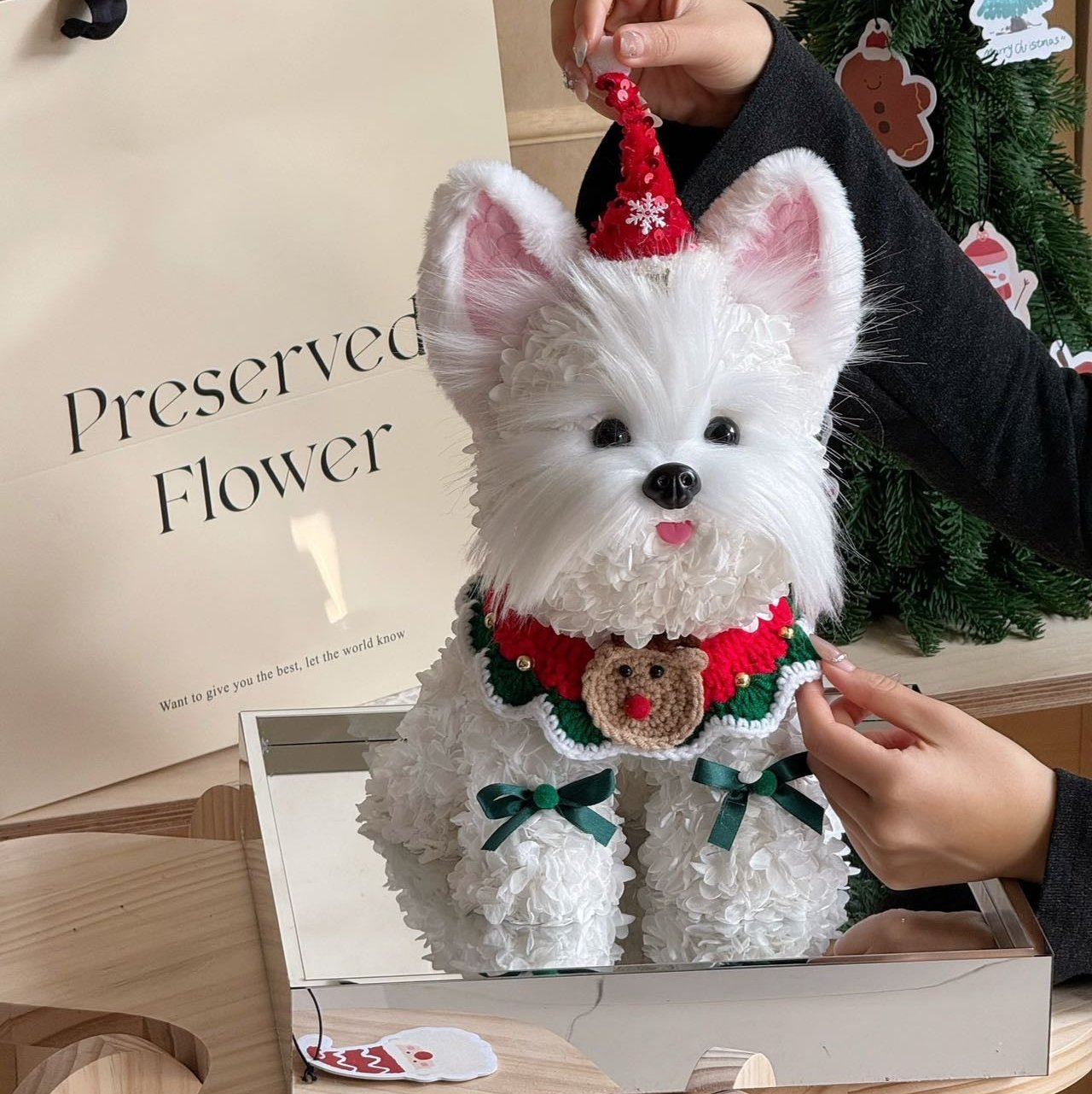 Floral Doggy | Charlie (Christmas Edition) (L) Toujours Flowers