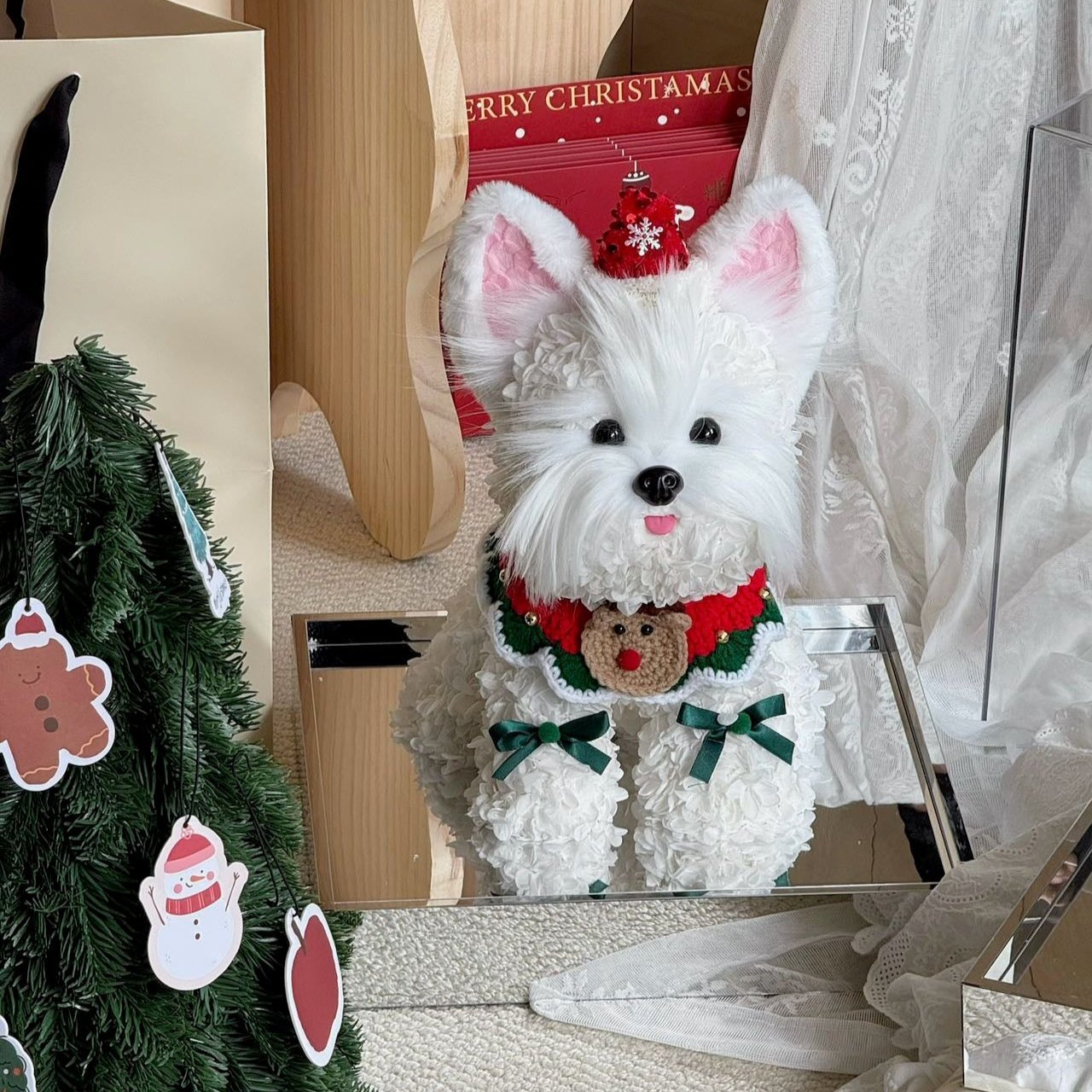 Floral Doggy | Charlie (Christmas Edition) (L) Toujours Flowers