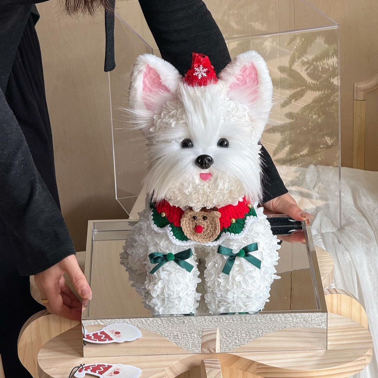 Floral Doggy | Charlie (Christmas Edition) (L) Toujours Flowers