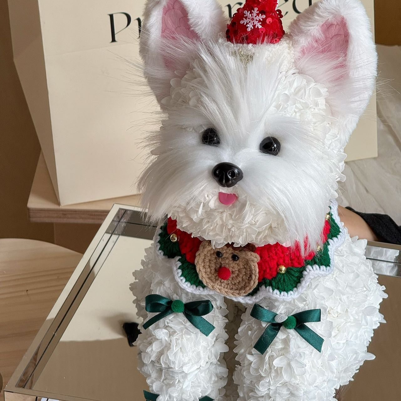 Floral Doggy | Charlie (Christmas Edition) (L) Toujours Flowers