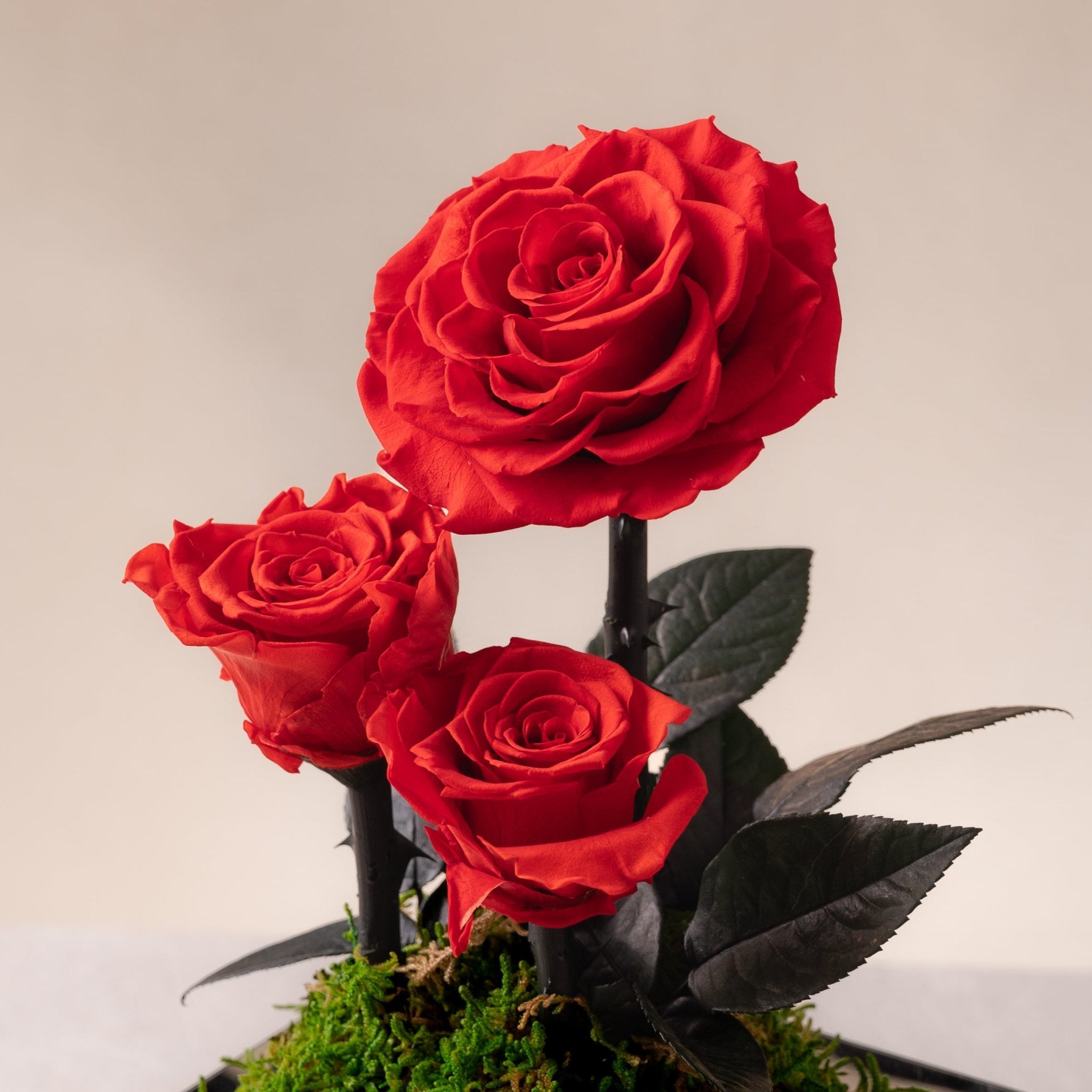 Preserved red rose trio rising from a green moss dome in a mirrored square box, displayed atop a white stone plinth against a neutral background.