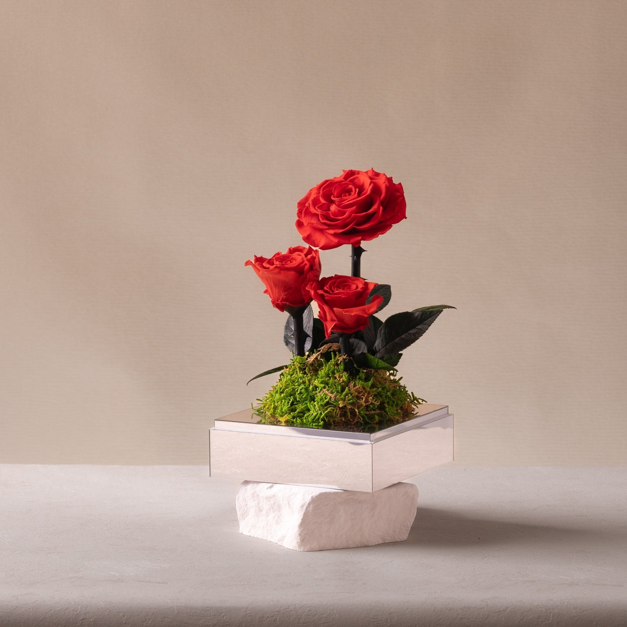Trio Stem Red Roses | Luxury Preserved Roses | Toujours Flowers