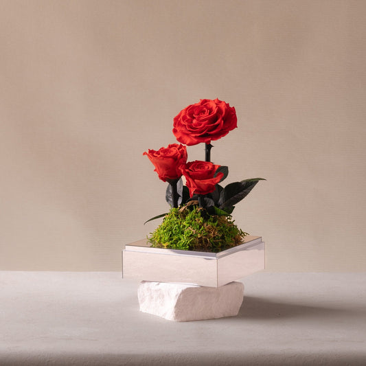 Classic Trio | Stem Red Rose - Toujours Flowers