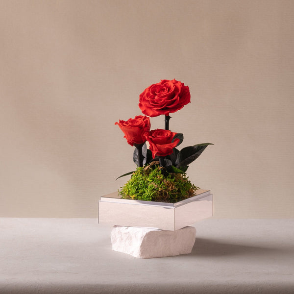 Classic Trio | Stem Red Rose Red Ready Stock Toujours Flowers