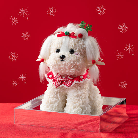 Floral Doggy | Peppermint (Christmas Edition) (L)