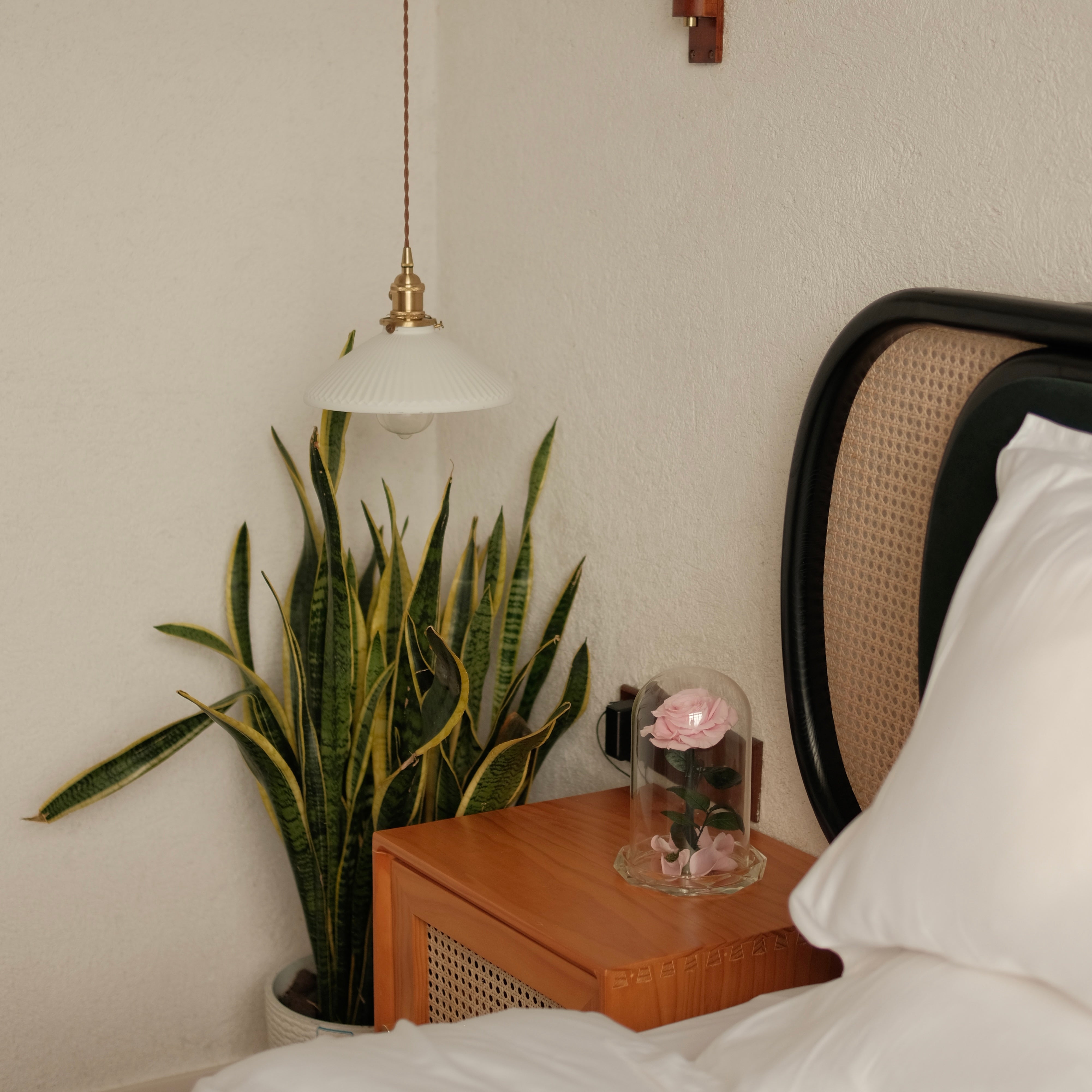 Rose Amour｜Crystal Encased Eternal Rose