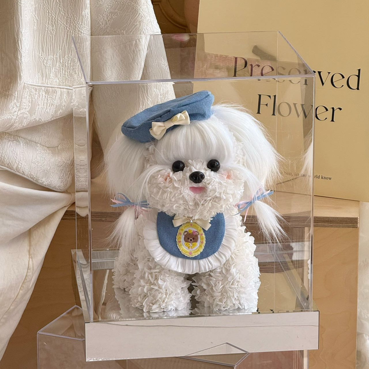 Flower Doggy | Mochi (White Maltese with Beret & Collar Set, Size L) Toujours Flowers