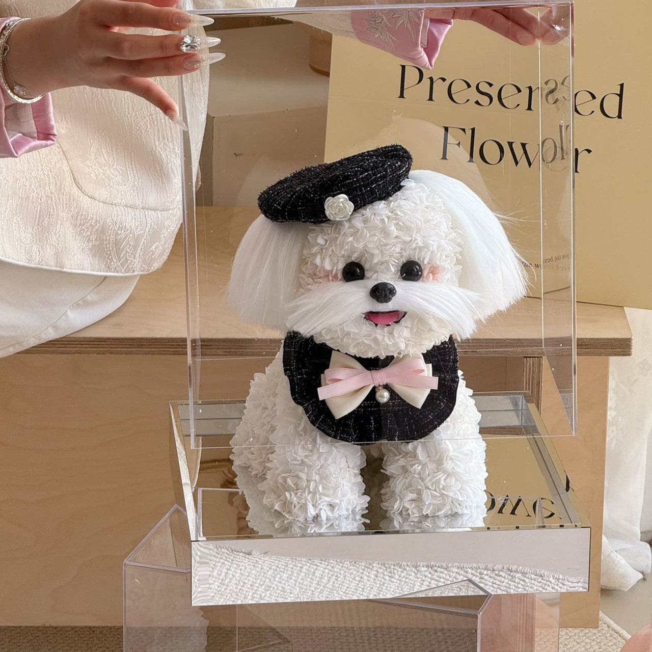 Flower Doggy | Mochi (White Maltese with Beret & Collar Set, Size L) Toujours Flowers