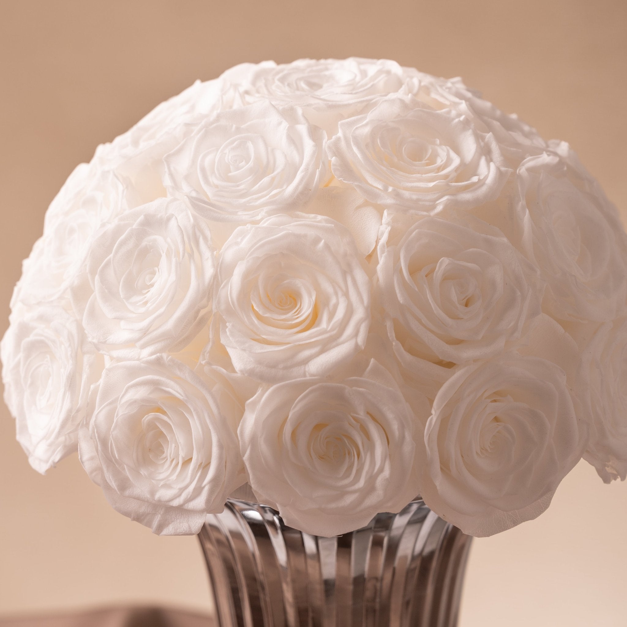 Flower Dome in Vase | White Roses - Toujours Flowers