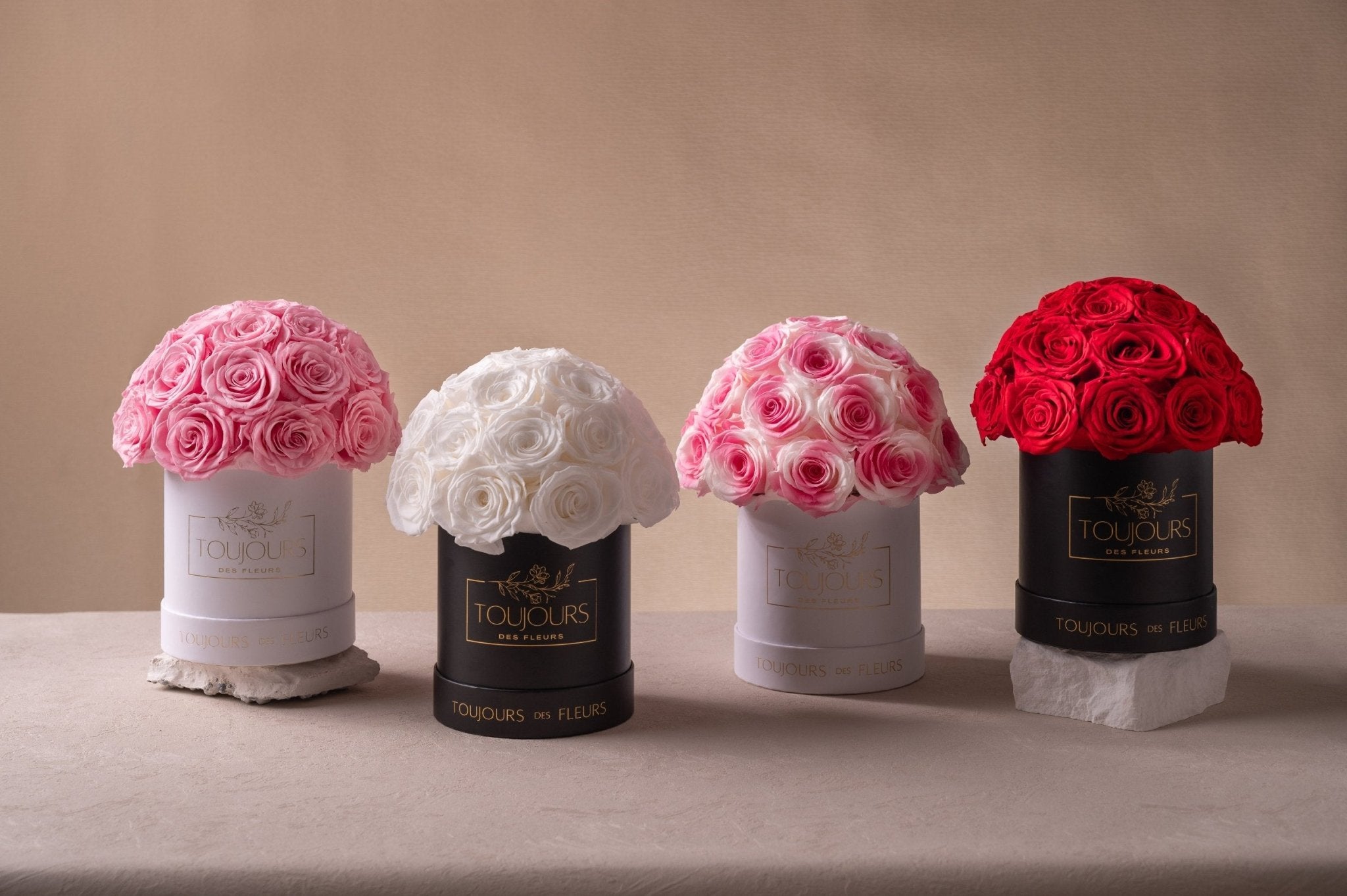 Flower Dome | Pink Roses - Toujours Flowers
