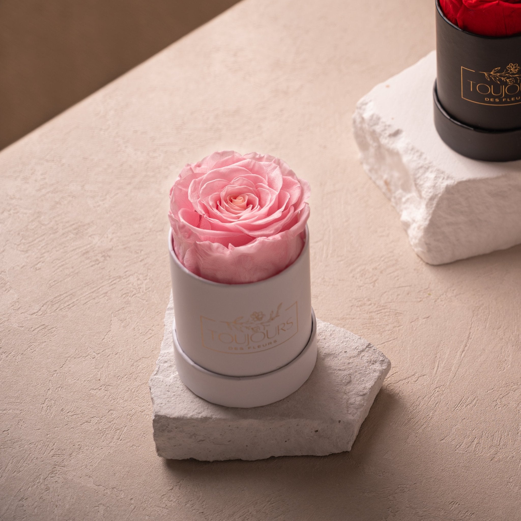 Mini Pink Rose | Luxury Everlasting Roses | Flower Delivery Singapore ...