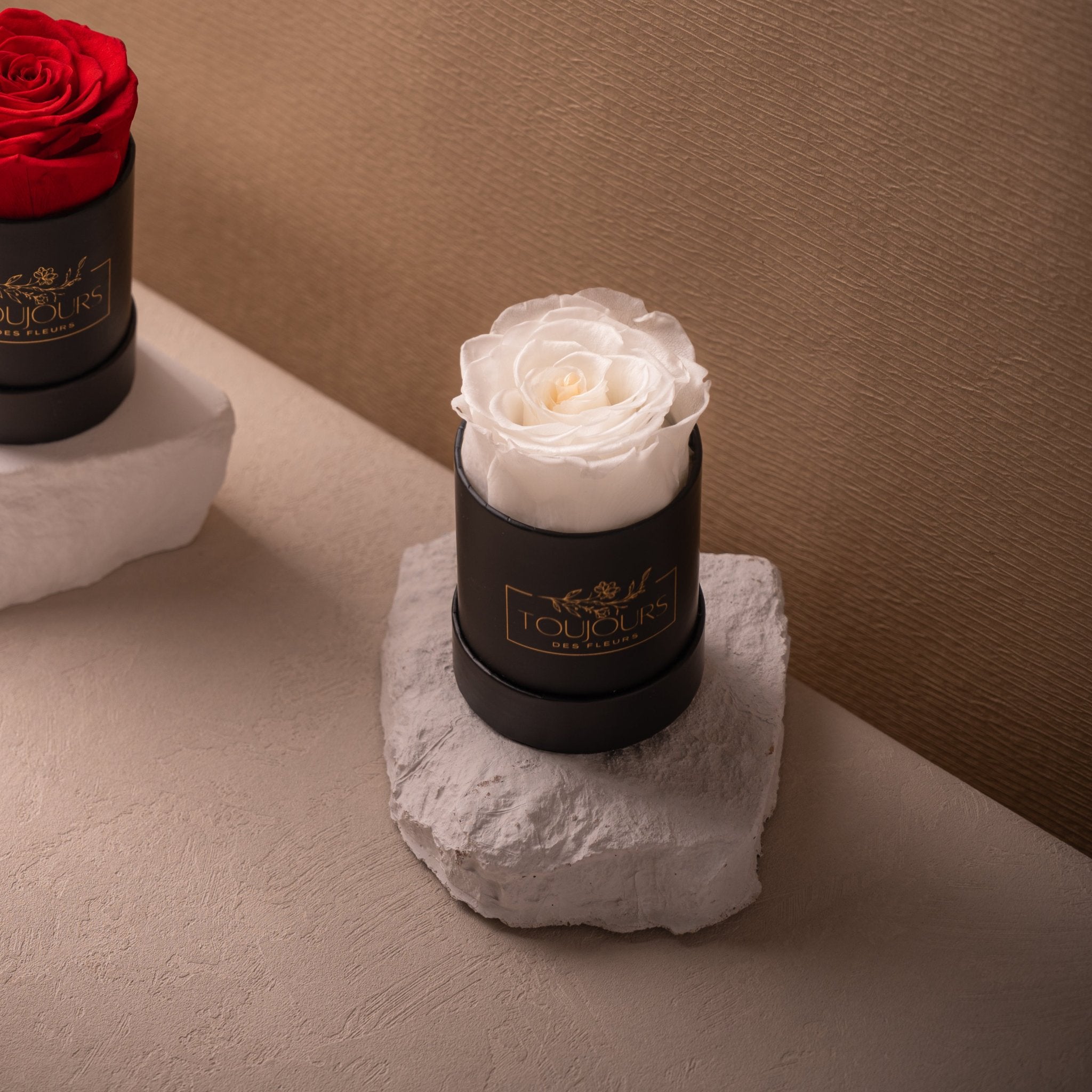 Mini White Rose Ready Stock Toujours Flowers