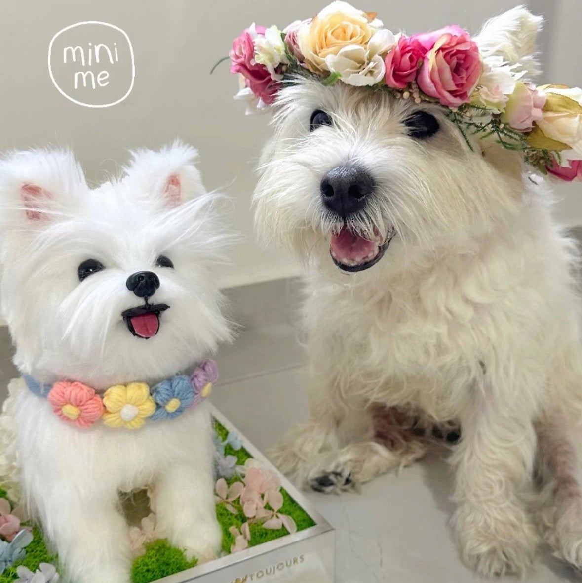 Two small white dogs with floral accessories on a light background