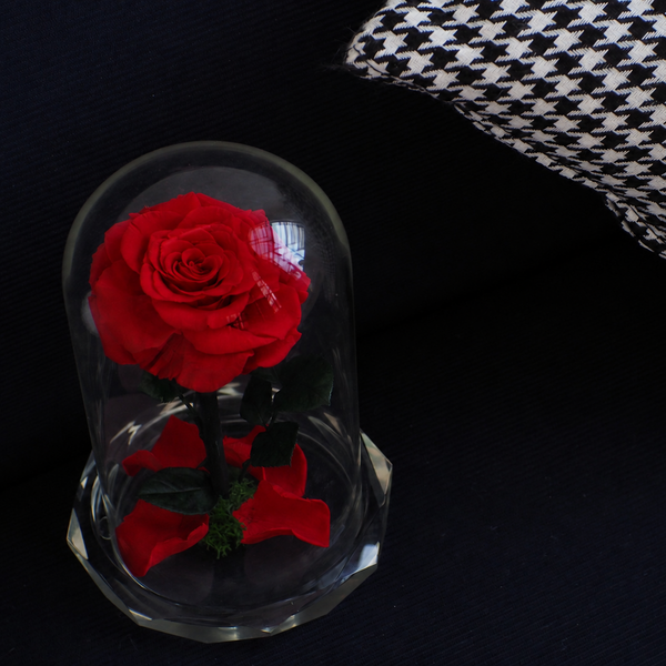 Red rose in a glass dome on a dark surface with a houndstooth-patterned fabric.