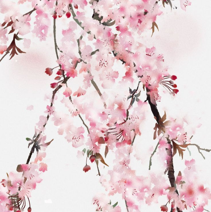 Floral Journeys｜Hues of Sakura (2 sizes)